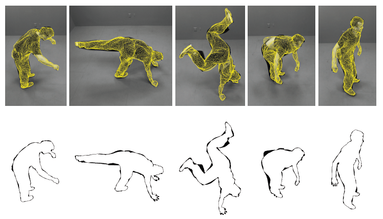 cage-based representation