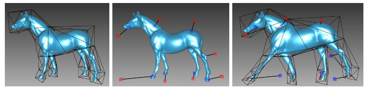 cage-based representation
