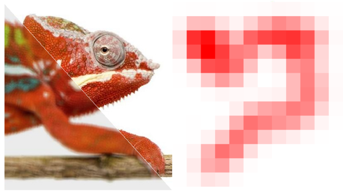 Representative image for Generalized Inertial Proximal Deblurring